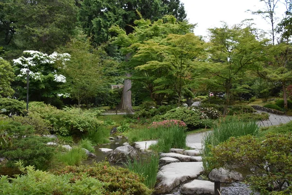 Seattle Japanese Garden Washington Park Arboretum Seattle Washington — Stock Photo, Image