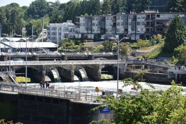 Seattle, Wa - Jul 15: Hiram M. Chittenden Locks (Ballard Locks) Seattle, Washington, 15 Temmuz 2019 tarihinde görüldüğü gibi. Bu Seattle, Washington Gölü Washington Gemi Kanalı, Salmon Bay batı ucunda kilitleri bir komplekstir.