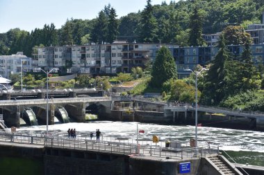 Seattle, Wa - Jul 15: Hiram M. Chittenden Locks (Ballard Locks) Seattle, Washington, 15 Temmuz 2019 tarihinde görüldüğü gibi. Bu Seattle, Washington Gölü Washington Gemi Kanalı, Salmon Bay batı ucunda kilitleri bir komplekstir.