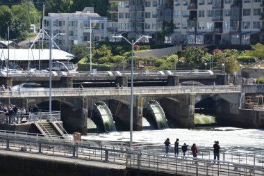 Seattle, Wa - Jul 15: Hiram M. Chittenden Kilitler (Ballard Locks) Seattle, Washington, Temmuz'da 15, 2019. Bu Salmon Bay batı ucunda kilitler bir komplekstir, Seattle, Washington Gölü Washington Gemi Kanalı, Bal mahalleleri arasında