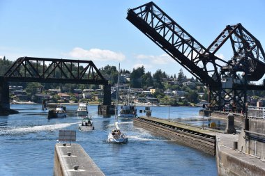 Seattle, Wa - Jul 15: Hiram M. Chittenden Locks (Ballard Locks) Seattle, Washington, 15 Temmuz 2019 tarihinde görüldüğü gibi. Bu Seattle, Washington Gölü Washington Gemi Kanalı, Salmon Bay batı ucunda kilitleri bir komplekstir.