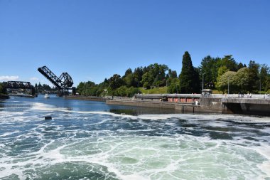 Seattle, Wa - Jul 15: Hiram M. Chittenden Locks (Ballard Locks) Seattle, Washington, 15 Temmuz 2019 tarihinde görüldüğü gibi. Bu Seattle, Washington Gölü Washington Gemi Kanalı, Salmon Bay batı ucunda kilitleri bir komplekstir.