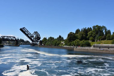 Seattle, Wa - Jul 15: Hiram M. Chittenden Locks (Ballard Locks) Seattle, Washington, 15 Temmuz 2019 tarihinde görüldüğü gibi. Bu Seattle, Washington Gölü Washington Gemi Kanalı, Salmon Bay batı ucunda kilitleri bir komplekstir.