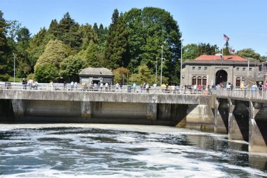 Seattle, Wa - Jul 15: Hiram M. Chittenden Locks (Ballard Locks) Seattle, Washington, 15 Temmuz 2019 tarihinde görüldüğü gibi. Bu Seattle, Washington Gölü Washington Gemi Kanalı, Salmon Bay batı ucunda kilitleri bir komplekstir.