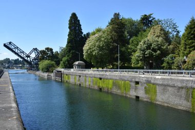Seattle, Wa - Jul 15: Hiram M. Chittenden Locks (Ballard Locks) Seattle, Washington, 15 Temmuz 2019 tarihinde görüldüğü gibi. Bu Seattle, Washington Gölü Washington Gemi Kanalı, Salmon Bay batı ucunda kilitleri bir komplekstir.