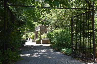 SEATTLE, WA - 15 Haziran 2018 'de görüldüğü üzere Hiram M Chittenden Ballard Kilitleri' ndeki Carl S İngiliz Bahçeleri.