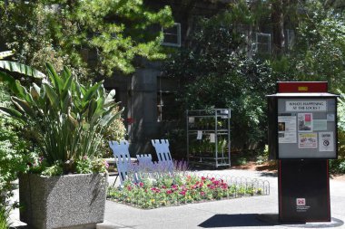 SEATTLE, WA - 15 Haziran 2018 'de görüldüğü üzere Hiram M Chittenden Ballard Kilitleri' ndeki Carl S İngiliz Bahçeleri.