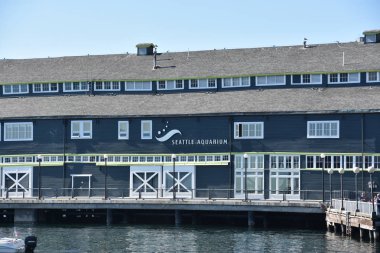 Seattle, Wa - Haz 15: Seattle Aquarium Washington'da, 15 Haziran 2019 tarihinde görüldüğü gibi. Bu 1977 yılında açılan ve Elliott Bay rıhtım üzerinde Pier 59 bulunan bir kamu akvaryumu.