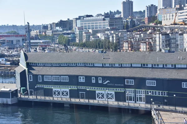 Seattle Haz Seattle Aquarium Washington Haziran 2019 Tarihinde Görüldüğü Gibi — Stok fotoğraf