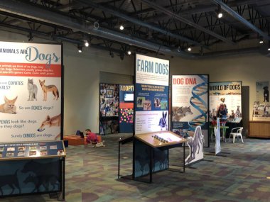 NORWALK, CT - 6 Temmuz 2019 'da görüldüğü gibi Norwalk, Connecticut' taki Çocuklar için Basamak Taşları Müzesi.