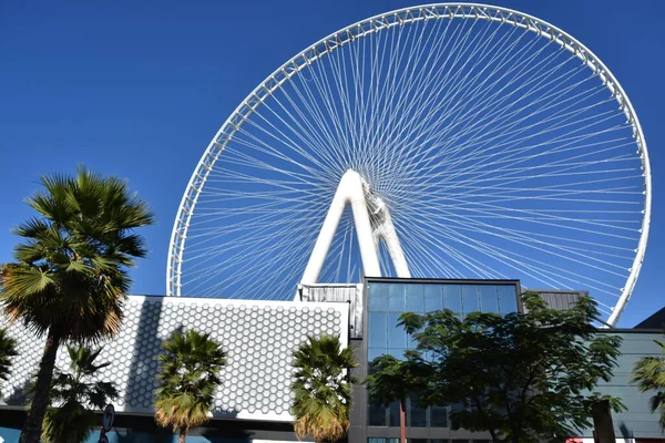Dubai Uae Feb Ain Dubai Dubai Eye Ferris Wheel Bluewater — Stock Photo, Image