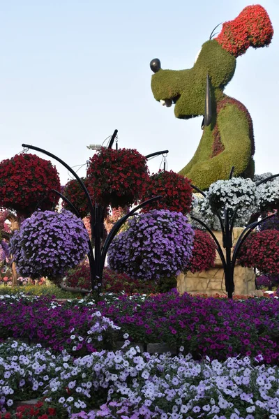 ドバイ アラブ首長国連邦 2月20日 2020年2月20日に見られるように アラブ首長国連邦のドバイ奇跡の庭でディズニー彫刻 庭園には4500万本以上の花がある — ストック写真