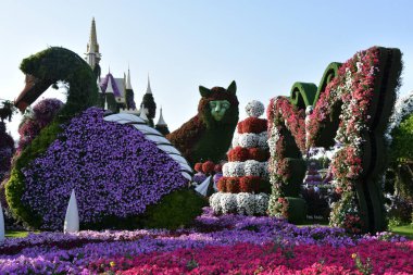 DUBAI, BAE - 20 Şubat 2020 'de Dubai Mucize Bahçesi' nde görüldüğü gibi. Bahçede 45 milyondan fazla çiçek var..