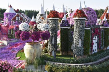 DUBAI, BAE - 20 Şubat 2020 'de Dubai Mucize Bahçesi' nde görüldüğü gibi. Bahçede 45 milyondan fazla çiçek var..