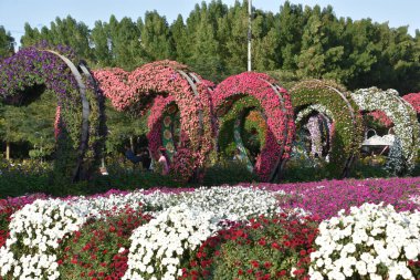 DUBAI, BAE - 20 Şubat 2020 'de Dubai Mucize Bahçesi' nde görüldüğü gibi. Bahçede 45 milyondan fazla çiçek var..