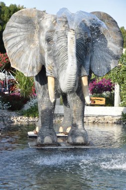 DUBAI, BAE - 20 Şubat 2020 'de Dubai Mucize Bahçesi' nde görüldüğü gibi. Bahçede 45 milyondan fazla çiçek var..