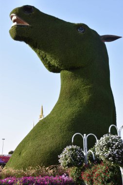 DUBAI, BAE - 20 Şubat 2020 'de Dubai Mucize Bahçesi' nde görüldüğü gibi. Bahçede 45 milyondan fazla çiçek var..