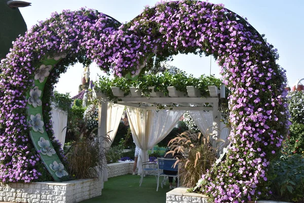 Dubai Emirati Arabi Uniti Feb Dubai Miracle Garden Negli Emirati — Foto Stock