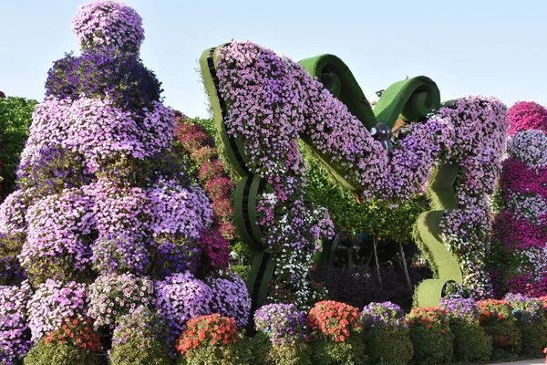 Дубай Оаэ Феб Dubai Miracle Garden Uae Видно Февраля 2020 — стоковое фото