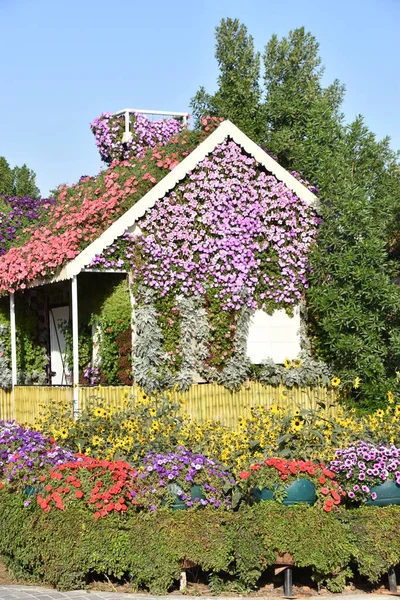 Dubai Uae Feb Dubai Miracle Garden Uae Seen Feb 2020 — Stock Photo, Image