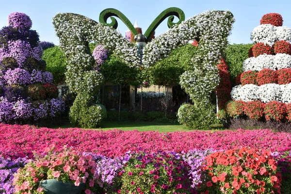 Dubai Emirati Arabi Uniti Feb Dubai Miracle Garden Negli Emirati — Foto Stock