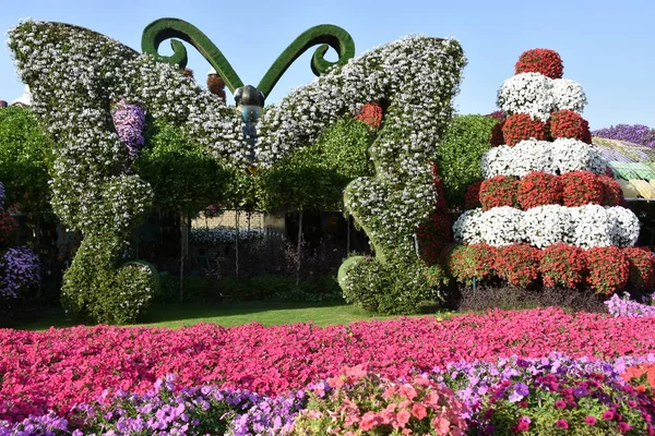Dubai Emirati Arabi Uniti Feb Dubai Miracle Garden Negli Emirati — Foto Stock