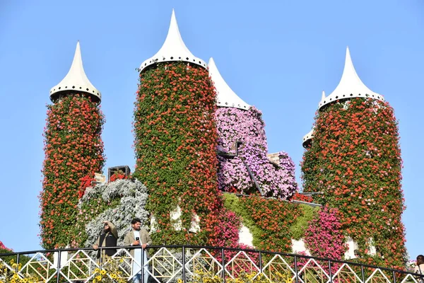 Дубай Оаэ Феб Dubai Miracle Garden Uae Видно Февраля 2020 — стоковое фото