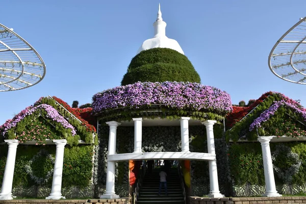 Дубай Оаэ Феб Dubai Miracle Garden Uae Видно Февраля 2020 — стоковое фото