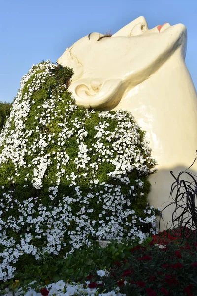 Дубай Оаэ Феб Dubai Miracle Garden Uae Видно Февраля 2020 — стоковое фото