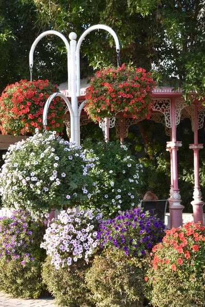 Дубай Оаэ Феб Dubai Miracle Garden Uae Видно Февраля 2020 — стоковое фото