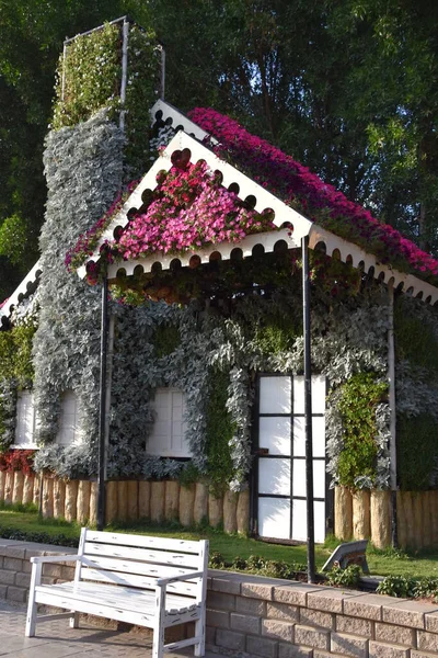 Dubai Emirati Arabi Uniti Feb Dubai Miracle Garden Negli Emirati — Foto Stock