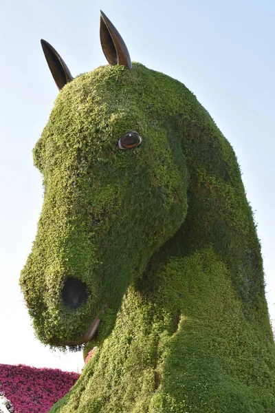 Dubai Förenade Arabemiraten Feb Dubai Miracle Garden Förenade Arabemiraten Sett — Stockfoto