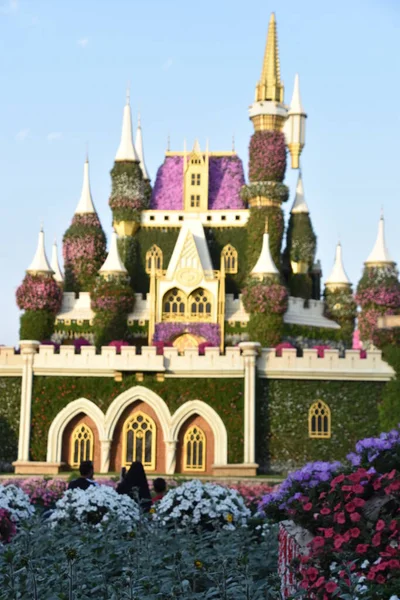 Dubai Vae Feb Dubai Miracle Garden Vae Gezien Feb 2020 — Stockfoto