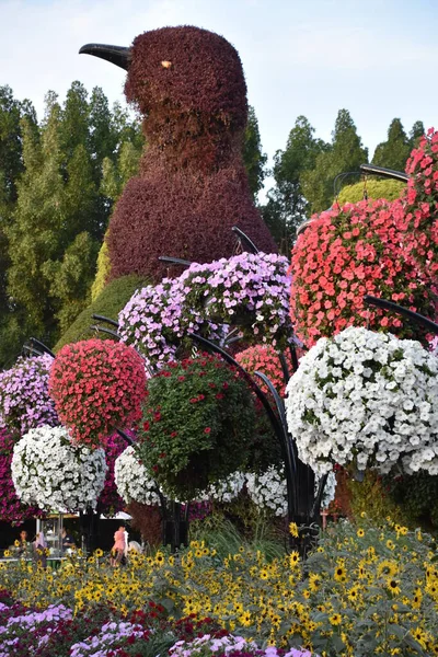 ドバイ アラブ首長国連邦 2月20日 2020年2月20日に見られるように アラブ首長国連邦のドバイ奇跡の庭 庭園には4500万本以上の花がある — ストック写真