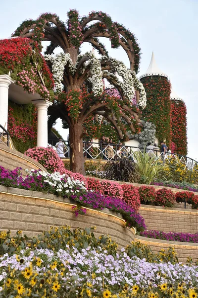 ドバイ アラブ首長国連邦 2月20日 2020年2月20日に見られるように アラブ首長国連邦のドバイ奇跡の庭 庭園には4500万本以上の花がある — ストック写真
