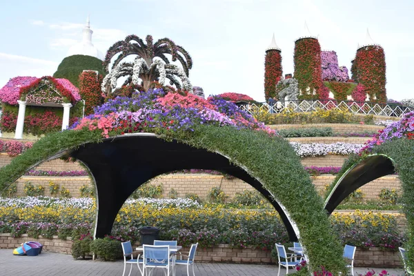 Дубай Оаэ Феб Dubai Miracle Garden Uae Видно Февраля 2020 — стоковое фото