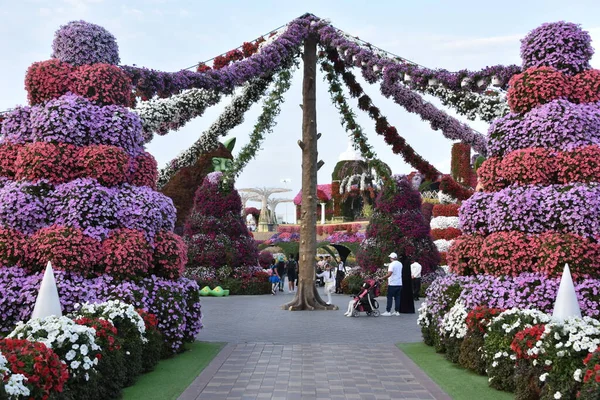 Dubai Emirati Arabi Uniti Feb Dubai Miracle Garden Negli Emirati — Foto Stock