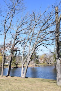 New Canaan CT - 21 Mart 2019 'da New Canaan, Connecticut' taki Mead Memorial Garden.