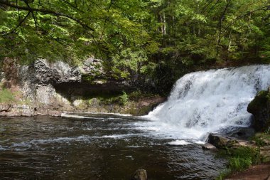Middletown, Connecticut 'taki Wadsworth Falls Eyalet Parkı