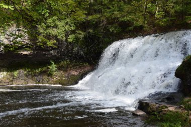 Middletown, Connecticut 'taki Wadsworth Falls Eyalet Parkı