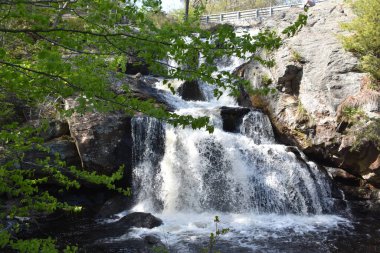 Chapman Şelalesi, Doğu Haddam, Connecticut 'taki Devils Hopyard Eyalet Parkı.