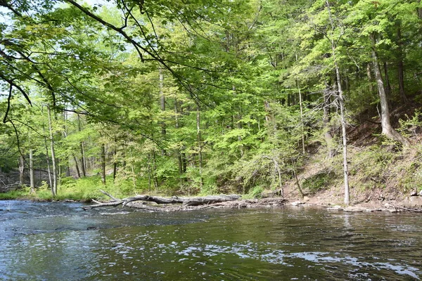 Wadsworth Falls State Park Мідлтауні Штат Коннектикут — стокове фото