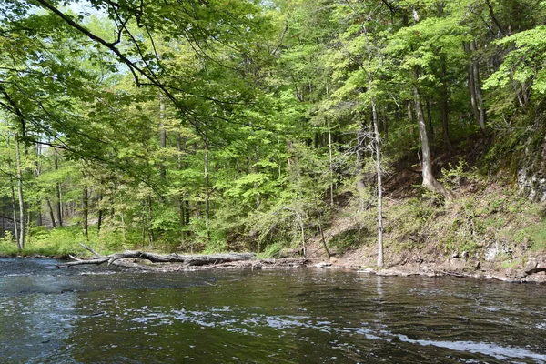 Wadsworth Falls State Park Мідлтауні Штат Коннектикут — стокове фото