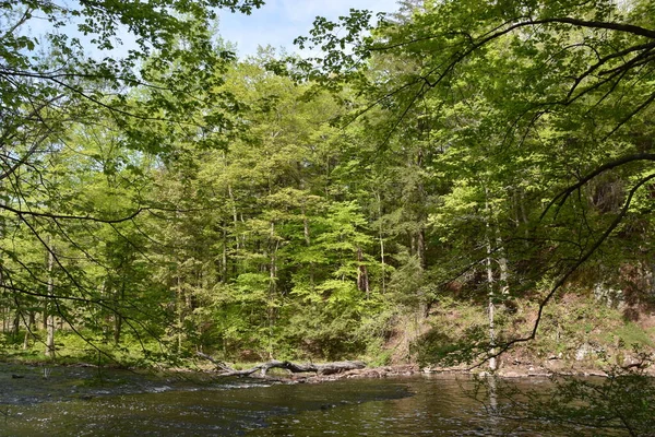 Wadsworth Falls State Park Мідлтауні Штат Коннектикут — стокове фото