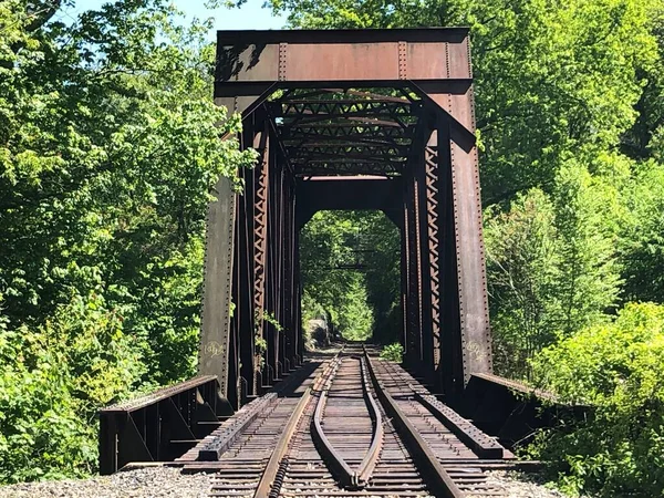 Central Vermont Railroad Brug Bij Indian Leap Bij Yantic Falls — Stockfoto