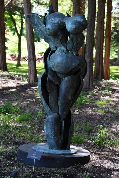 Old Lyme Mai Studio Sculpture Grounds Old Lyme Connecticut Gesehen — Stockfoto