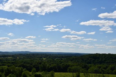 Wallingford, Connecticut 'taki Gouveia Vineyards, 13 Haziran 2020' de görüldüğü gibi..