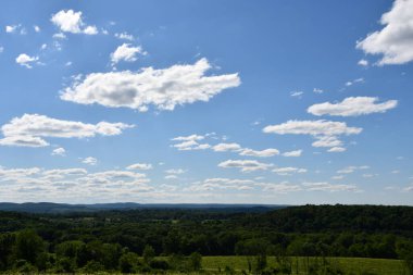Wallingford, Connecticut 'taki Gouveia Vineyards, 13 Haziran 2020' de görüldüğü gibi..