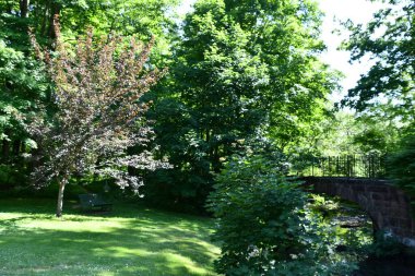 CHESHIRE, CT - 21 Haziran 2020 'de görüldüğü üzere Cheshire, Connecticut' taki 12..