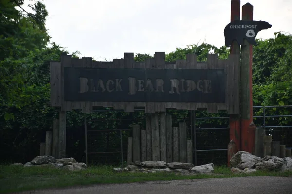 Jackson Township Jun Fekete Medve Gerinc Wild Safari Drive Thru — Stock Fotó